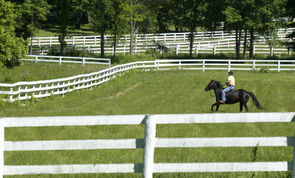 Conyers Farm Equestrian Estate