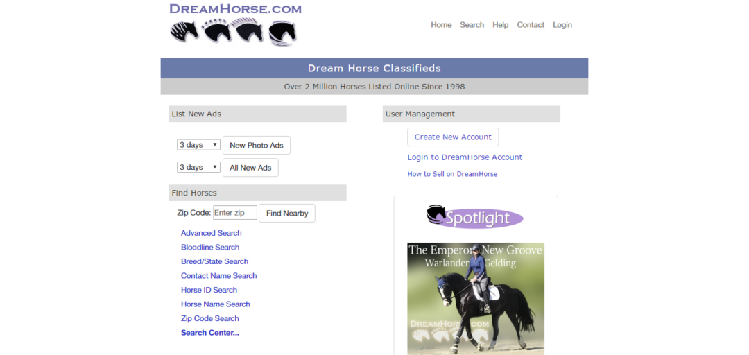 Best Horse Auction Sites To Look For » High Country Horses