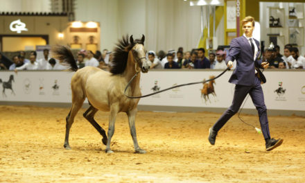 Horse Auction Timeline – How It Was Conducted Back in 1000 BC and How It Is Done Now?