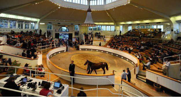 A horse auction by sales ring