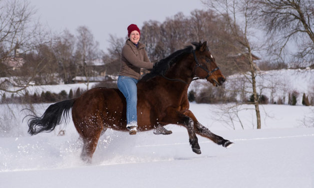 Learning Horse Riding: A Complete Guide