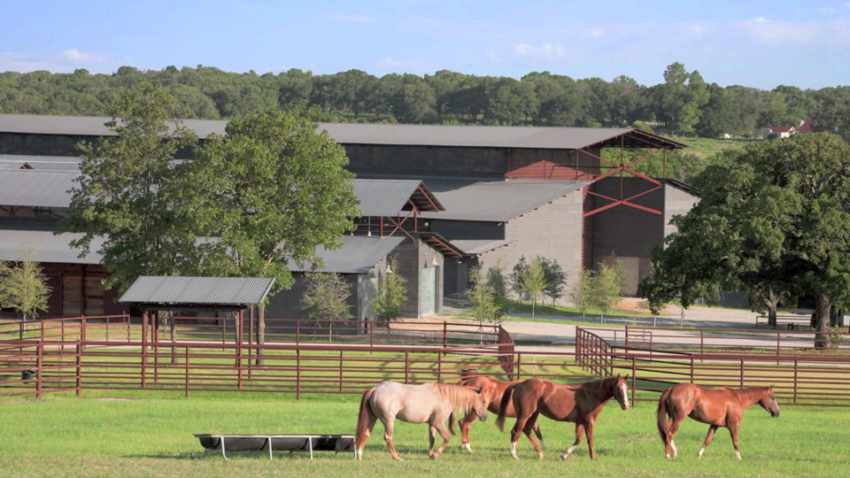 Most Popular Horse Ranches in US