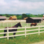 The Best Horse-Riding Locations In The US